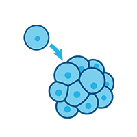 HBOT Increases Stem Cell Availability